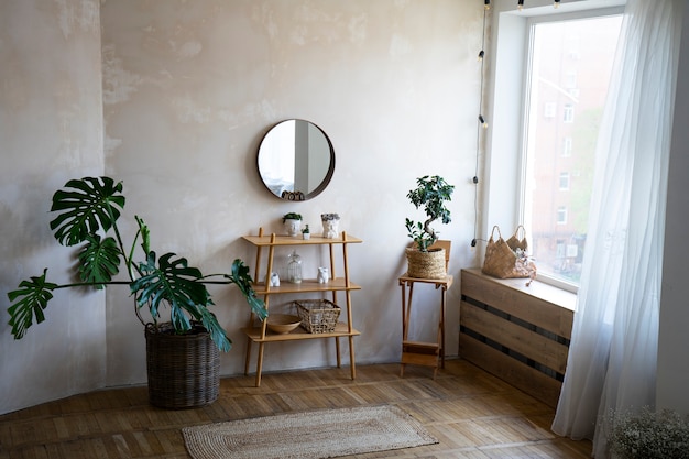 Interior decor with mirror and potted plant