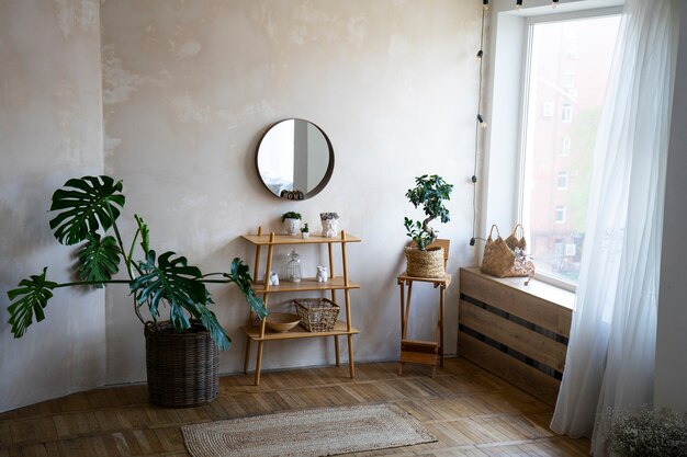 interior decor with mirror and potted plant