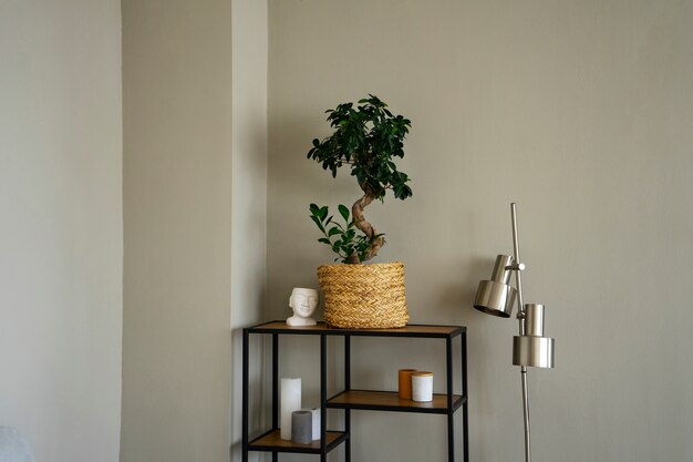 Interior decoration with potted plant and shelf