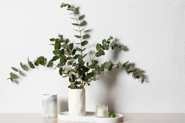 Interior design with eucalyptus on table high angle