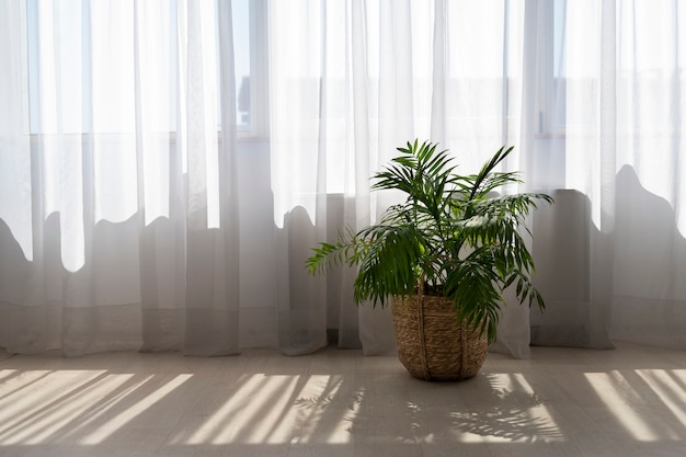 Interior design with green plant shadow