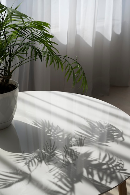 Free photo interior design with green plant