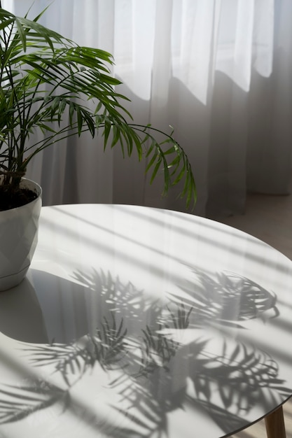 Дизайн интерьера с зеленым растением
