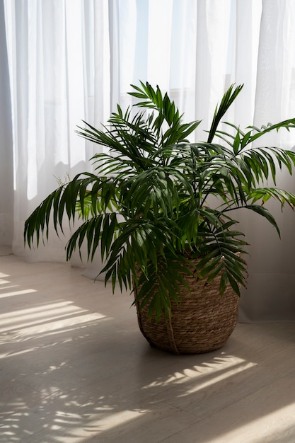 Free photo interior design with green plant