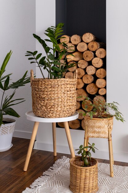 Interior design with logs and green plants