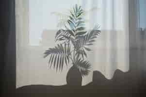 Free photo interior design with plant shadow front view