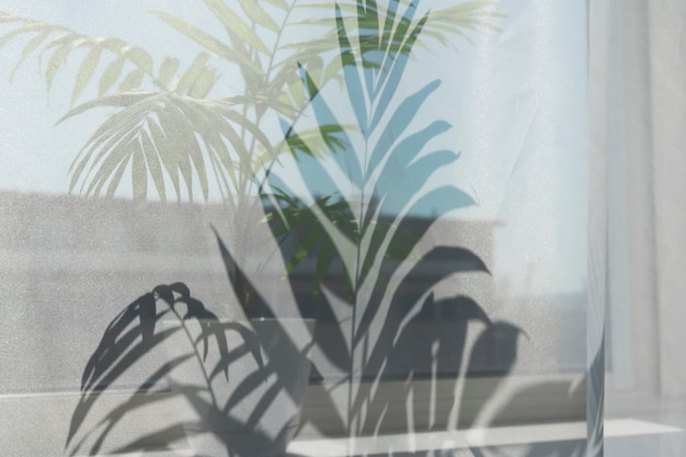 Interior design with plant shadow