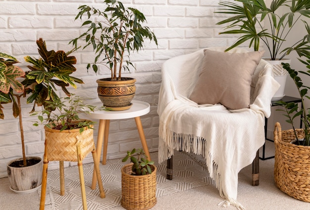 Interior design with plants