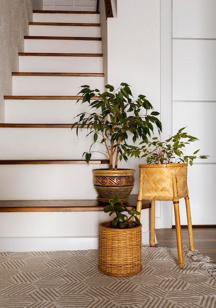Дизайн интерьера с лестницей и растениями