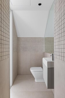 モダンな​バス​ルーム​の​シャワー​ゾーン​から​小さな​シンク​と​トイレ​の​景色​を​望む​狭い​バス​ルーム​の​インテリア​...