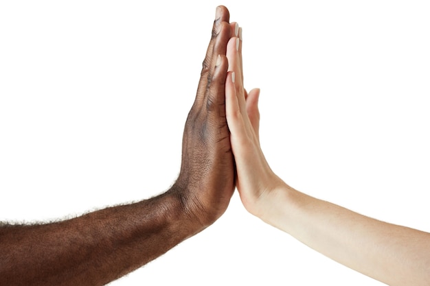 Interracial human hands isolated