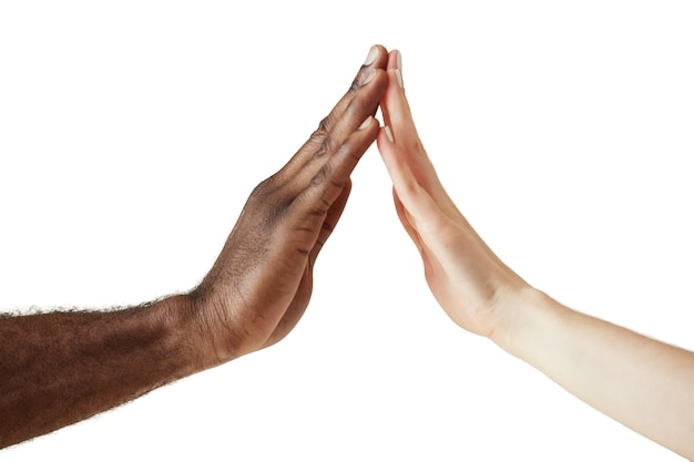 Interracial human hands isolated