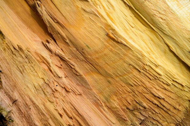 Irregular wood texture