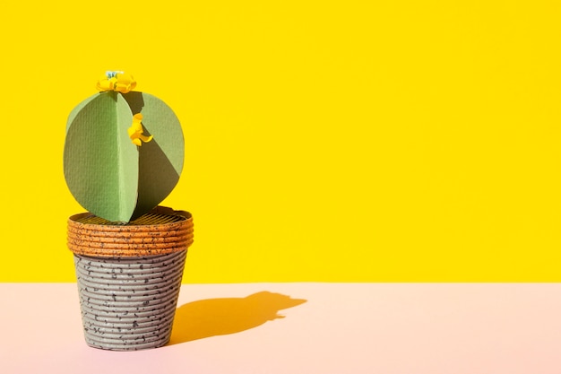 Isolated cactus in pot with copy space