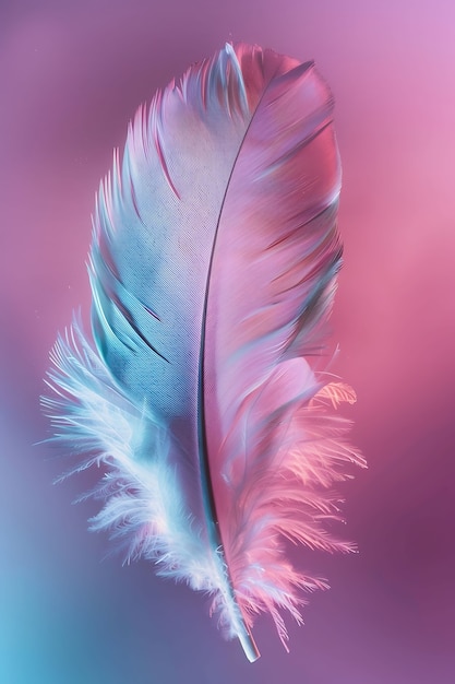 Free photo isolated feather in studio