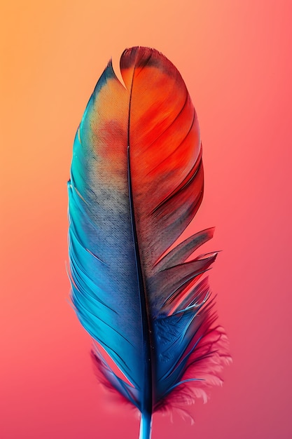 Free photo isolated feather in studio