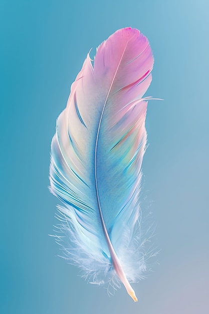 Free photo isolated feather in studio
