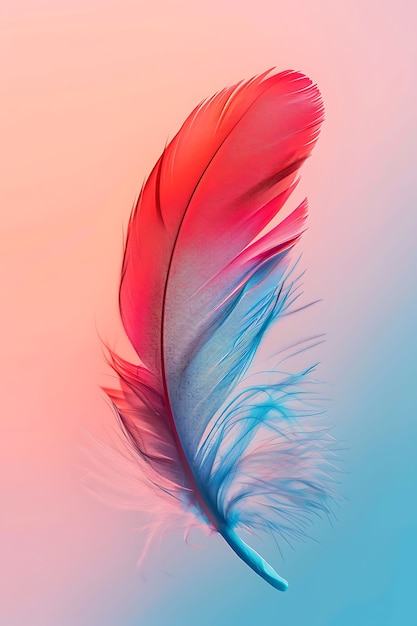 Free photo isolated feather in studio