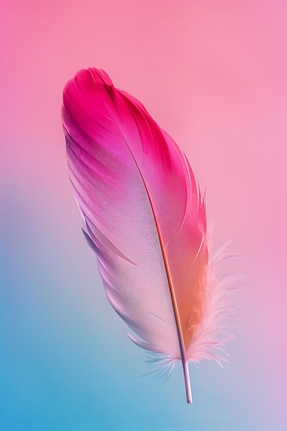 Free photo isolated feather in studio