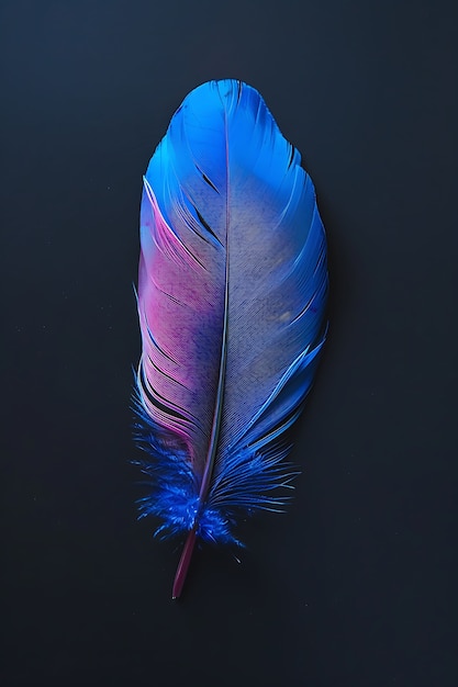 Free photo isolated feather in studio