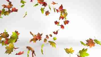 Foto gratuita collezione di foglie isolate foglie d'acero autunnali colorate isolate su sfondo bianco
