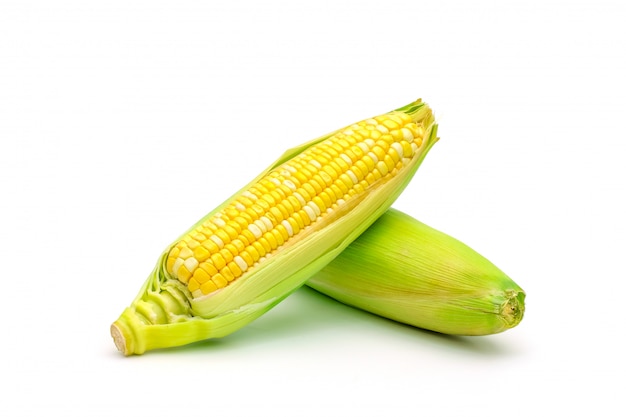 Изолированная двухцветная сладкая кукуруза на белом