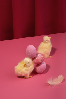 짙은 라즈베리 색상 커튼에 분홍색 부활절 달걀이 있는 밝은 노란색 닭에 대한 등각 투영 뷰. 트렌디한 하드 라이트 정물입니다.