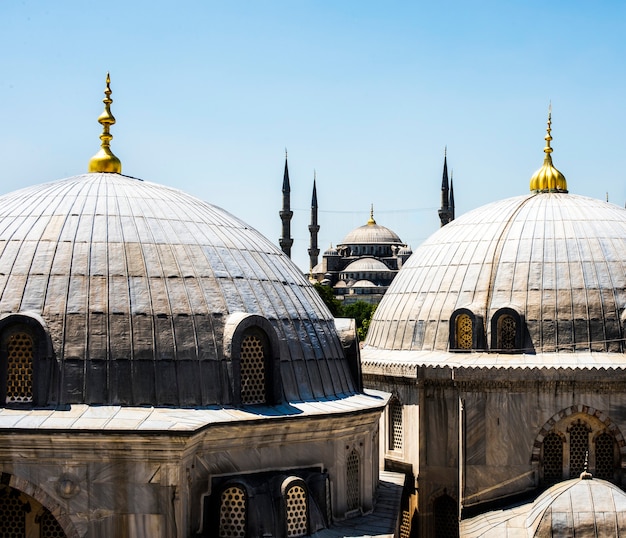 Городской пейзаж Стамбула с собором Святой Софии и Голубой мечетью