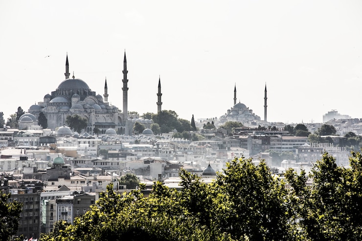 Free Photo istanbul cityscape featuring hagia sophia and blue mosque