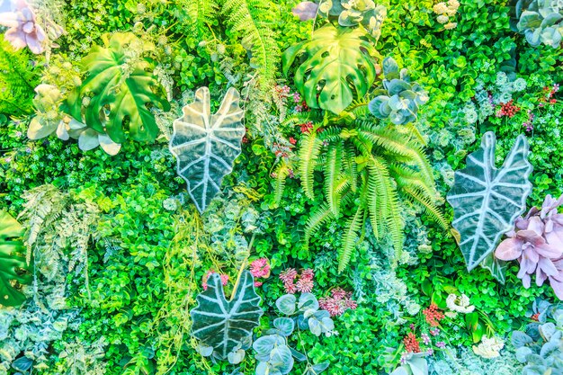 ivy color culture white stone wall