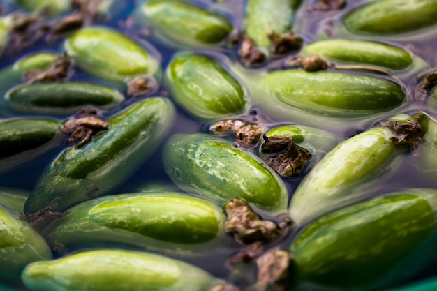 Free photo ivy gourd soaking in water