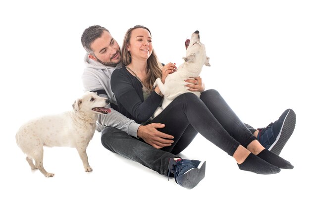 Jack russel terriers and couple