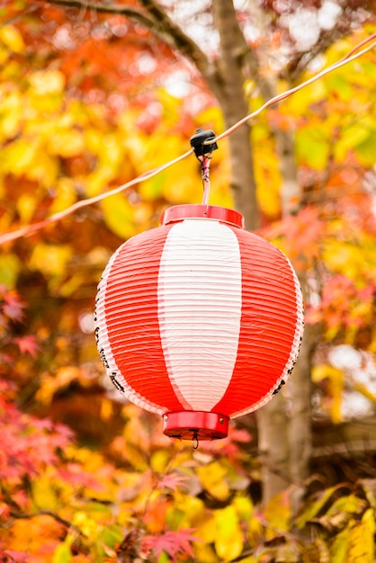 Free photo japan lantern