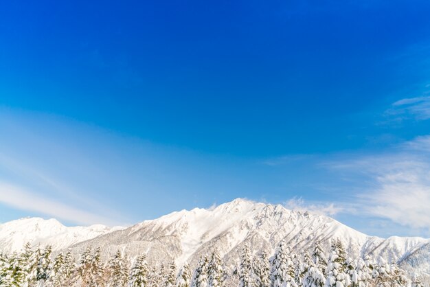 Япония Зимний горный со снегом покрыты