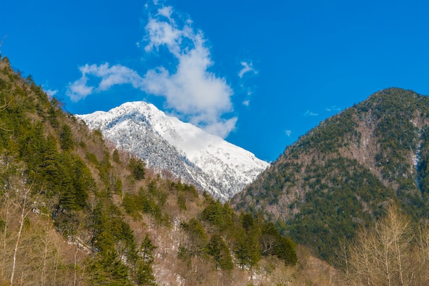 Foto gratuita montagna inverno in giappone