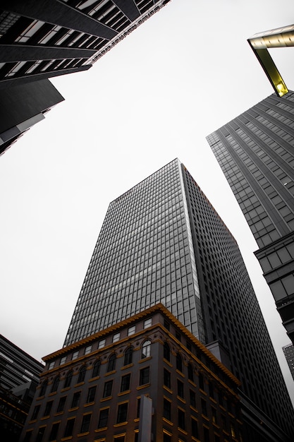 Japanese culture with low angle buildings