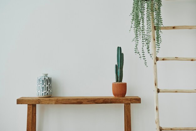 Японская ваза и кактус на деревянной скамейке