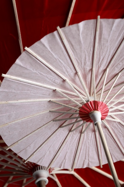 Japanese wagasa umbrella background