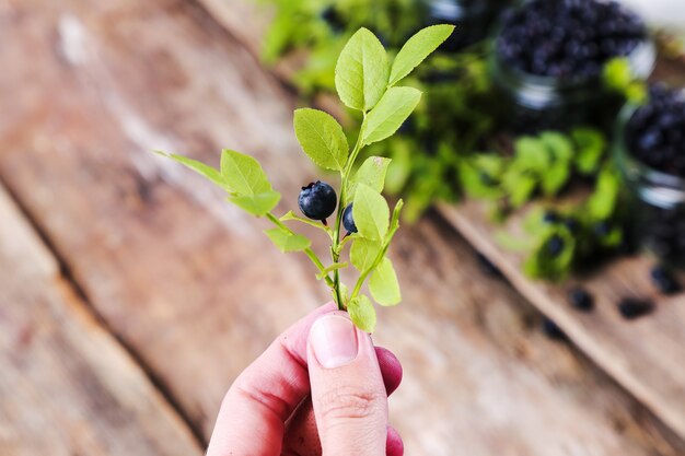 Jar of blueberries