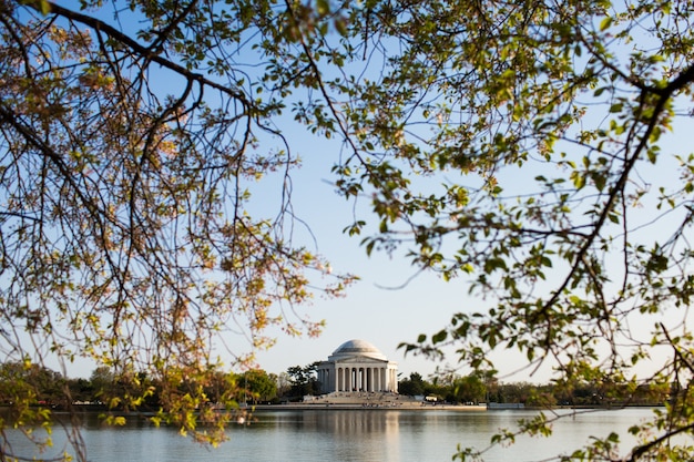 Jefferson memorial surrounded by water and greenery under a blue sky in washington