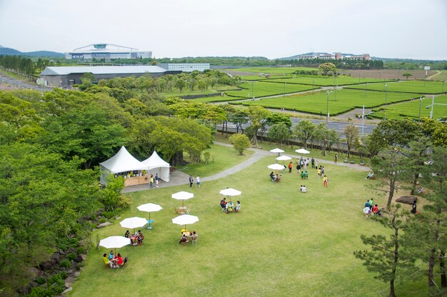 Free Photo jeju island, korea - october 12: the osulloc tea museum is the f