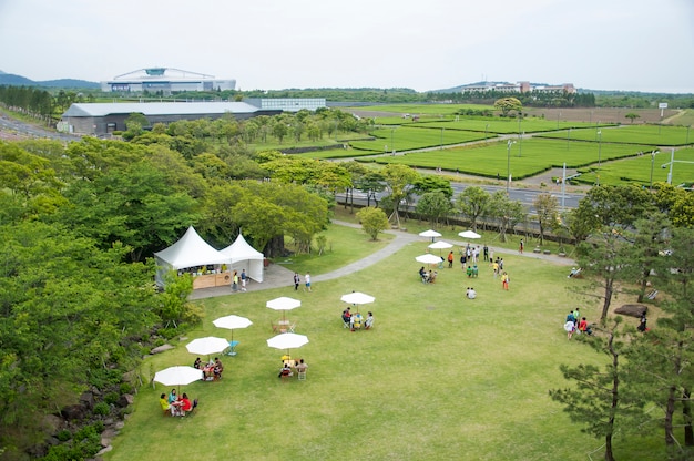 Jeju Island, KOREA - OCTOBER 12: The Osulloc tea museum is the f