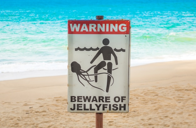 Jellyfish warning sign at  beach .