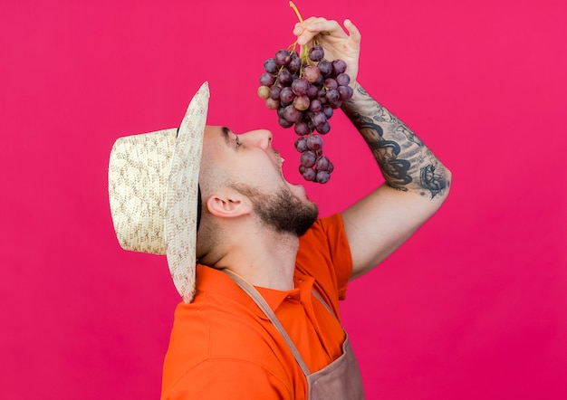 Радостный садовник-мужчина в садовой шляпе держит виноград и делает вид, что ест виноград