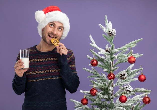 Gioioso giovane uomo caucasico che indossa il cappello di natale in piedi vicino all'albero di natale decorato tenendo un bicchiere di latte e cookie cercando di mordere cookie isolato su sfondo viola