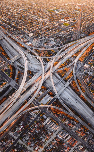 로스 앤젤레스의 Harry Pregerson Interchange 판사