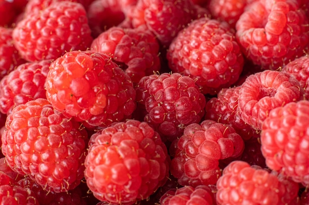 Juicy bright raspberries