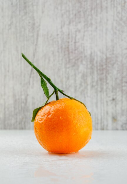 육즙 오렌지 과일 잎