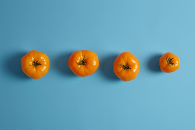 Juicy ripe yellow heirlroom tomatoes with green stems isolated over blue background. View from above. Fresh delicious seasonal vegetables collected from garden. Organic food. Creative layout.