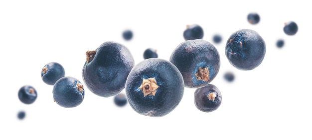 Juniper berries levitate on a white background